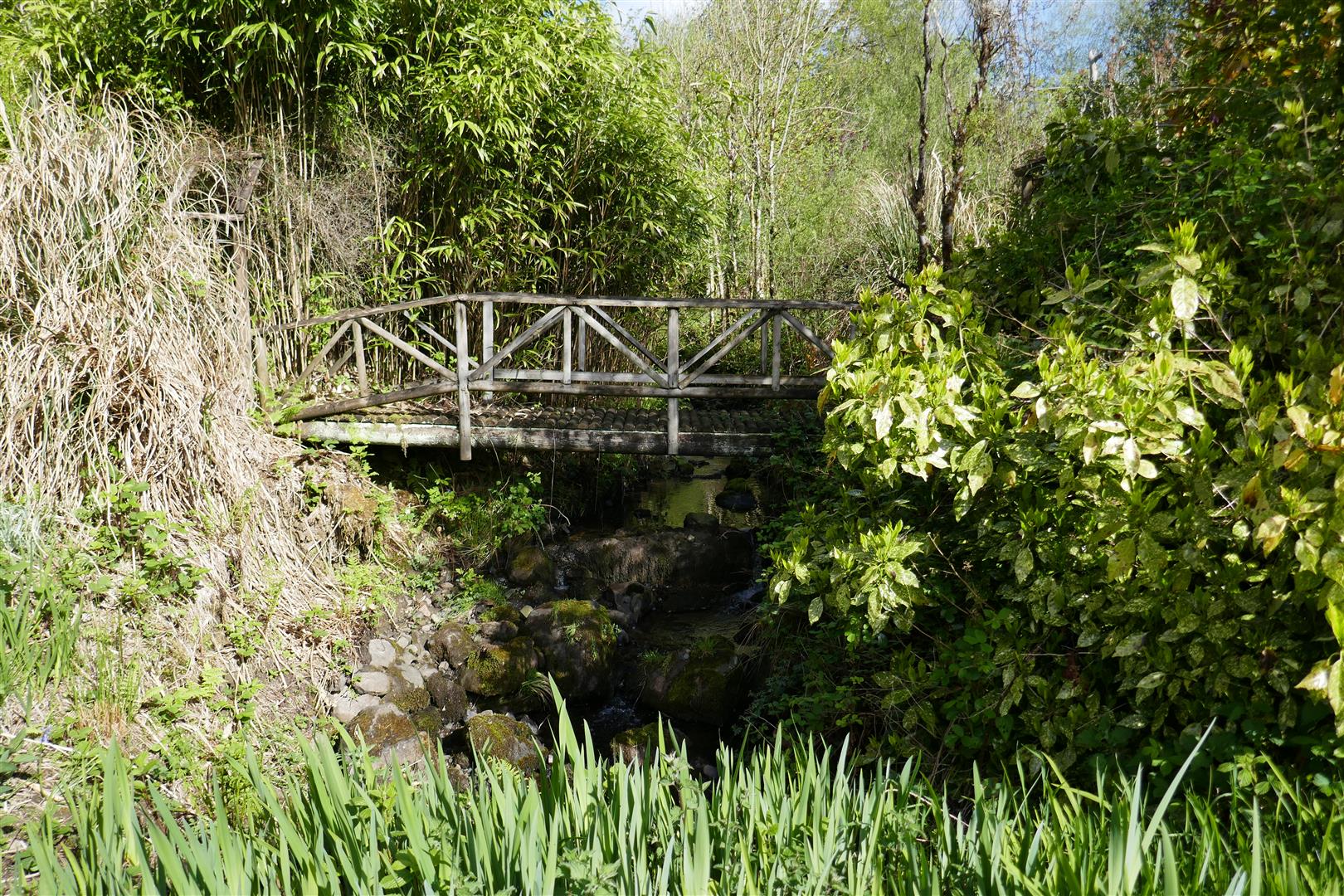 GROUNDS